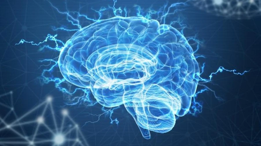 Electrical activity of the brain