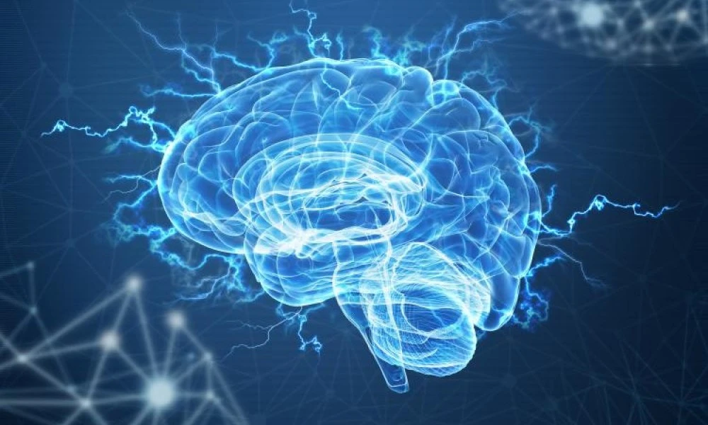 Electrical activity of the brain