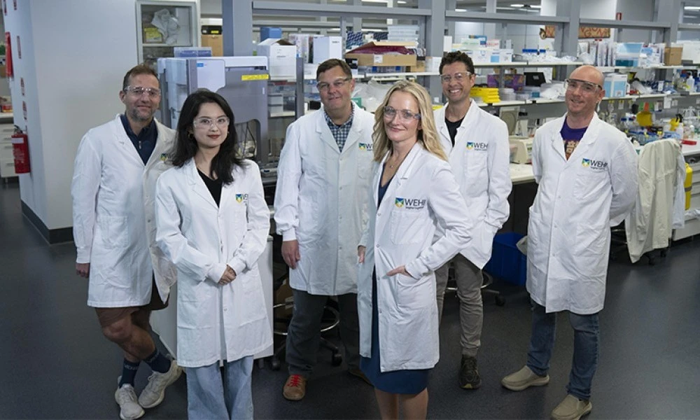 ibd-study-lab-team.jpg