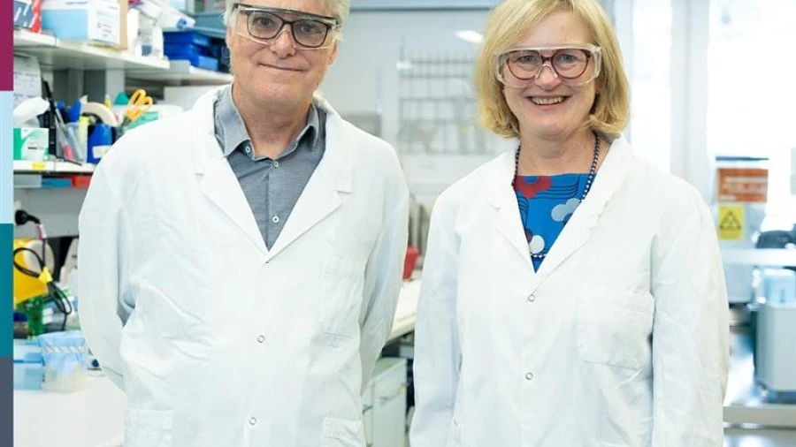 Snow Centre for Immune Health Co-Directors Professor Phil Hodgkin and Professor Jo Douglass