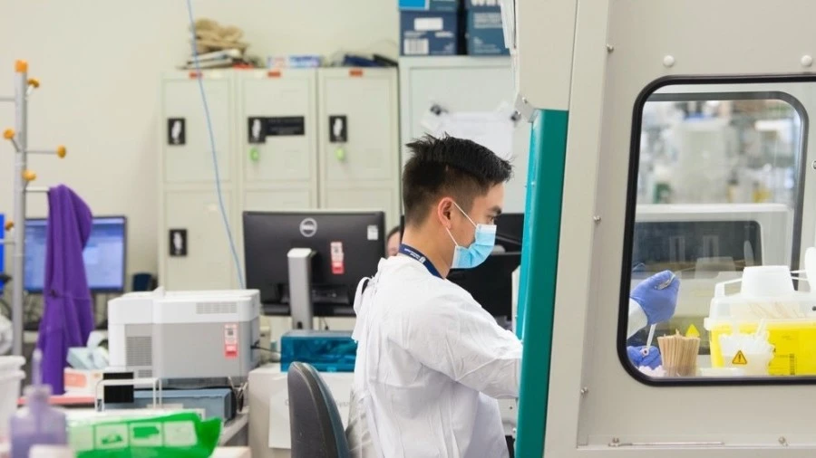 Research staff working in a lab