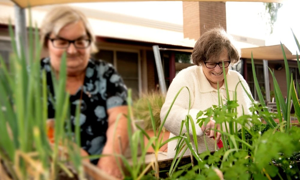 Residents gardening at Boyne Russell House