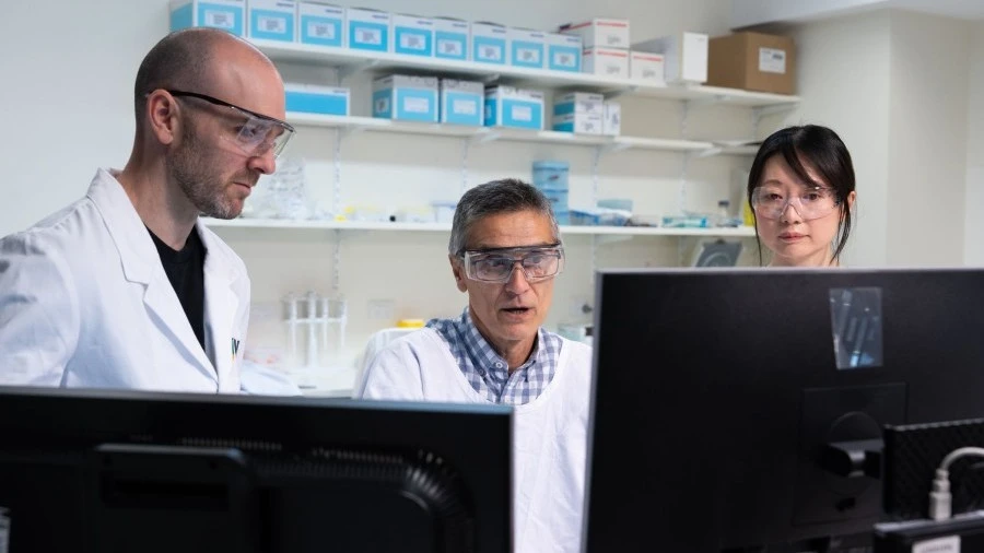 RMH and WEHI researchers