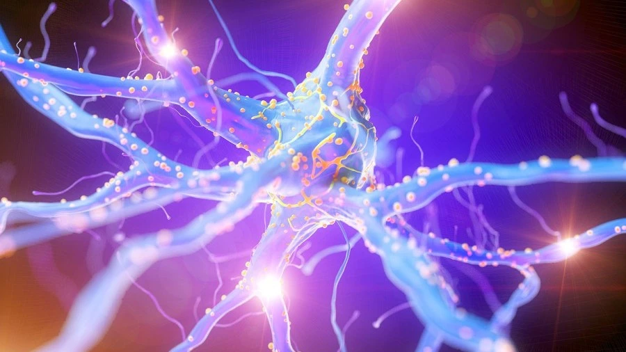 Multiple sclerosis MS research