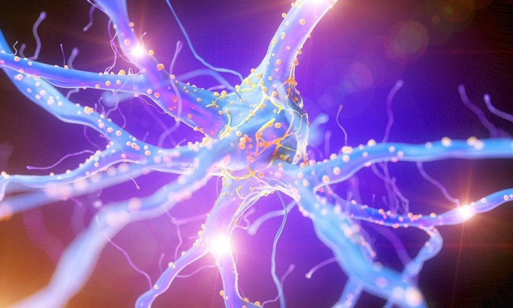 Multiple sclerosis MS research